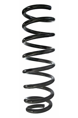 Spidan Fahrwerksfeder [Hersteller-Nr. 87156] für BMW