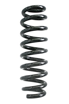 Spidan Fahrwerksfeder [Hersteller-Nr. 87185] für BMW