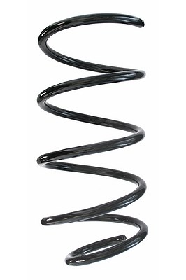 Spidan Fahrwerksfeder [Hersteller-Nr. 87204] für Mini