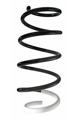 Spidan Fahrwerksfeder [Hersteller-Nr. 87223] für Renault