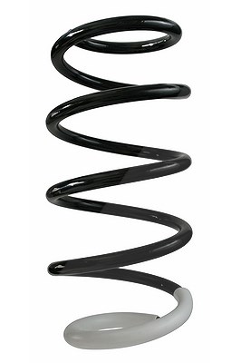 Spidan Fahrwerksfeder [Hersteller-Nr. 87225] für Renault