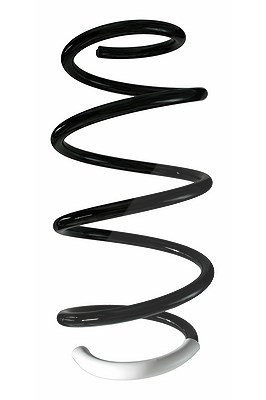 Spidan Fahrwerksfeder [Hersteller-Nr. 87227] für Renault