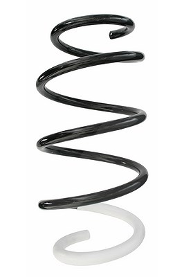 Spidan Fahrwerksfeder [Hersteller-Nr. 87228] für Renault