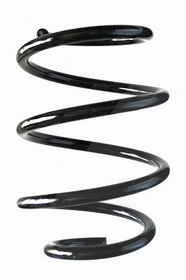 Spidan Fahrwerksfeder [Hersteller-Nr. 87269] für Mini
