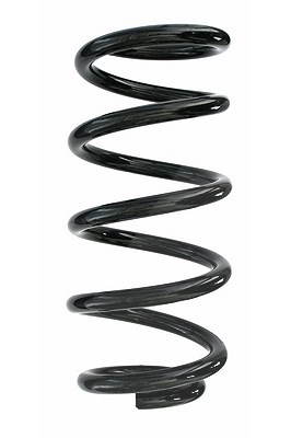 Spidan Fahrwerksfeder [Hersteller-Nr. 87278] für Mini
