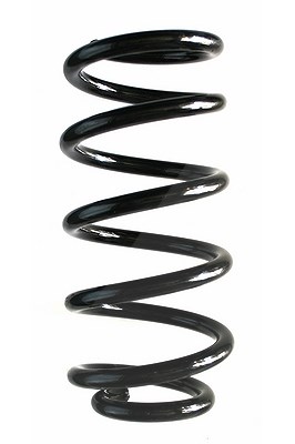 Spidan Fahrwerksfeder [Hersteller-Nr. 87284] für Mini