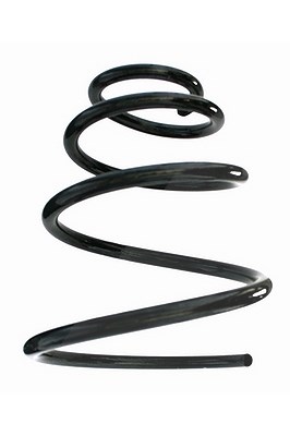 Spidan Fahrwerksfeder [Hersteller-Nr. 87343] für Porsche