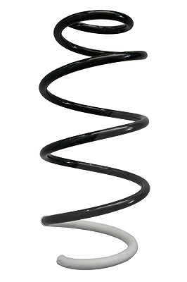 Spidan Fahrwerksfeder [Hersteller-Nr. 87364] für Peugeot