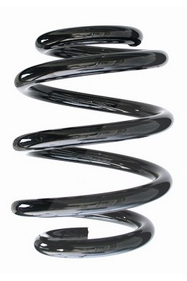 Spidan Fahrwerksfeder [Hersteller-Nr. 87440] für Mercedes-Benz