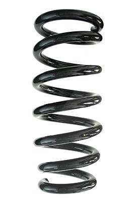 Spidan Fahrwerksfeder [Hersteller-Nr. 87481] für Mitsubishi