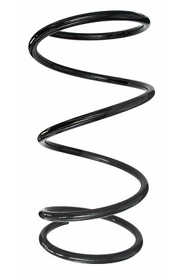 Spidan Fahrwerksfeder [Hersteller-Nr. 87576] für Toyota