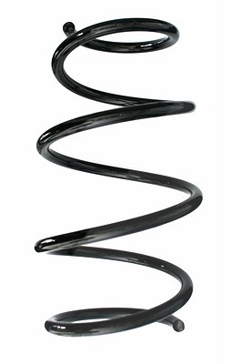 Spidan Fahrwerksfeder [Hersteller-Nr. 87581] für Toyota