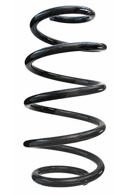 Spidan Fahrwerksfeder [Hersteller-Nr. 87656] für Ford
