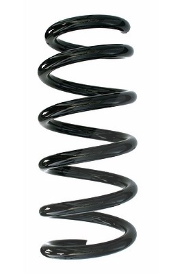 Spidan Fahrwerksfeder [Hersteller-Nr. 87748] für BMW