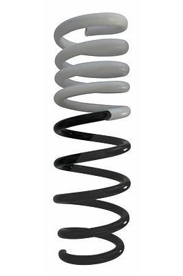 Spidan Fahrwerksfeder [Hersteller-Nr. 87749] für BMW