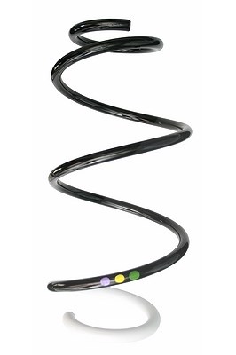 Spidan Fahrwerksfeder [Hersteller-Nr. 87871] für Renault