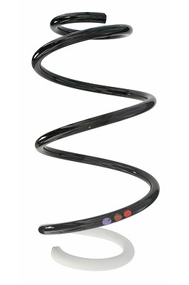 Spidan Fahrwerksfeder [Hersteller-Nr. 87872] für Renault