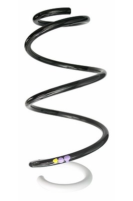 Spidan Fahrwerksfeder [Hersteller-Nr. 87873] für Renault