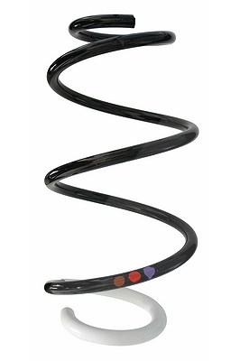 Spidan Fahrwerksfeder [Hersteller-Nr. 87875] für Renault