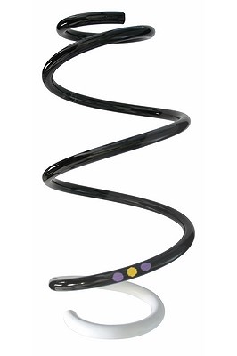 Spidan Fahrwerksfeder [Hersteller-Nr. 87877] für Renault