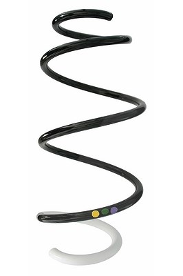 Spidan Fahrwerksfeder [Hersteller-Nr. 87878] für Renault