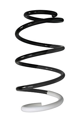 Spidan Fahrwerksfeder [Hersteller-Nr. 88001] für Hyundai