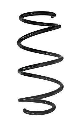 Spidan Fahrwerksfeder [Hersteller-Nr. 88006] für Renault