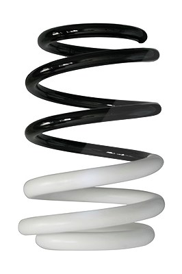 Spidan Fahrwerksfeder [Hersteller-Nr. 88007] für Renault