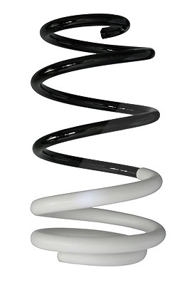 Spidan Fahrwerksfeder [Hersteller-Nr. 88008] für Renault