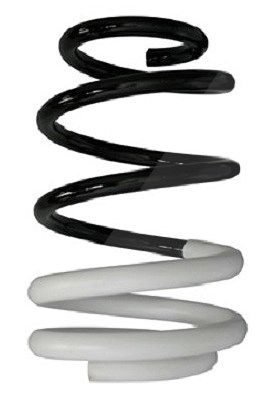 Spidan Fahrwerksfeder [Hersteller-Nr. 88009] für Renault