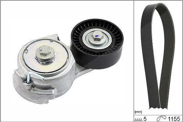 Schaeffler Ina Keilrippenriemensatz [Hersteller-Nr. 529001110] für Fiat