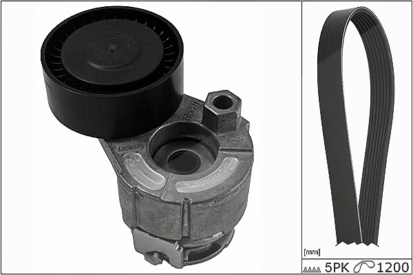 Schaeffler Ina Keilrippenriemensatz [Hersteller-Nr. 529001510] für Renault, Nissan