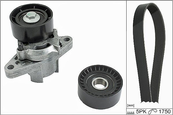 Schaeffler Ina Keilrippenriemensatz [Hersteller-Nr. 529008210] für Dacia, Renault