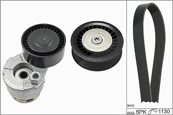 Schaeffler Ina Keilrippenriemensatz [Hersteller-Nr. 529016510] für Nissan, Dacia, Lada, Renault