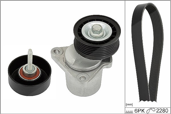 Schaeffler Ina Keilrippenriemensatz [Hersteller-Nr. 529039810] für Ford