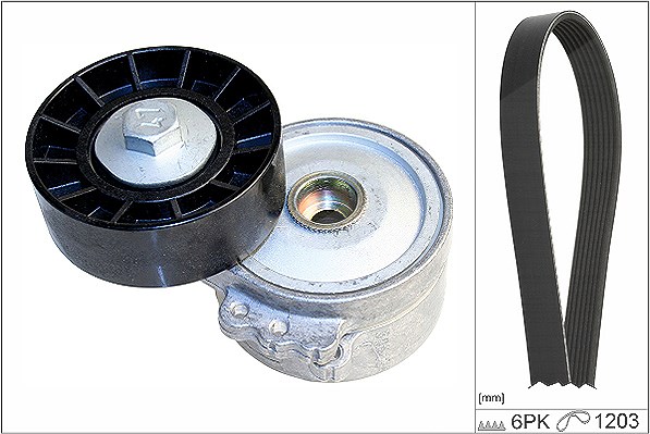 Schaeffler Ina Keilrippenriemensatz [Hersteller-Nr. 529022610] für Ford