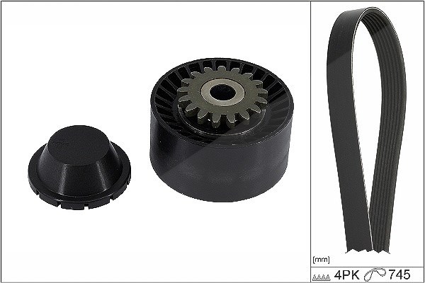 Schaeffler Ina Keilrippenriemensatz [Hersteller-Nr. 529040810] für Renault