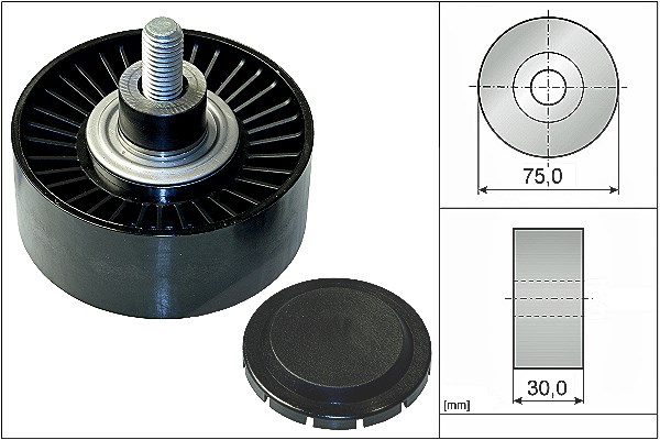 Schaeffler Ina Umlenk-/Führungsrolle, Keilrippenriemen [Hersteller-Nr. 532075110] für BMW