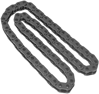 Schaeffler Ina Steuerkette [Hersteller-Nr. 553028910] für BMW, Audi, Mini