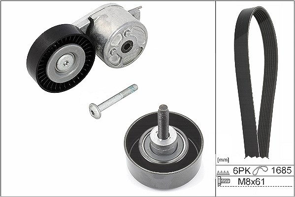 Schaeffler Ina Keilrippenriemensatz [Hersteller-Nr. 529021810] für Ford