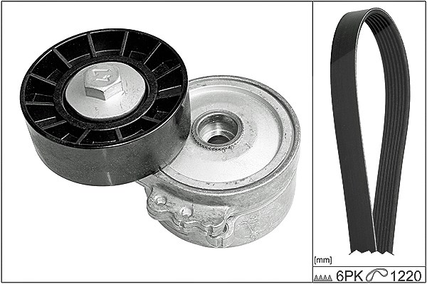 Schaeffler Ina Keilrippenriemensatz [Hersteller-Nr. 529010510] für Fiat, Volvo, Peugeot, Citroën, Lancia, Ford