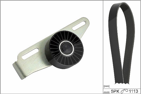 Schaeffler Ina Keilrippenriemensatz [Hersteller-Nr. 529044110] für Renault, Dacia