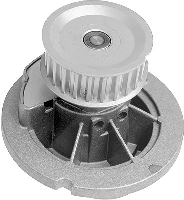 Schaeffler Ina Wasserpumpe [Hersteller-Nr. 538029610] für Vauxhall, Opel