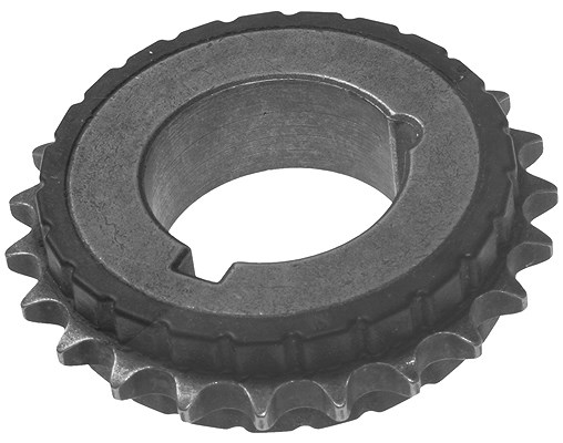 Schaeffler Ina Zahnrad, Kurbelwelle [Hersteller-Nr. 554006610] für Vauxhall, Saturn, Chevrolet, Opel, Cadillac, Pontiac, Fiat, Saab, Alfa Romeo