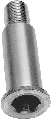 Schaeffler Ina Lagerzapfen, Spannrollenhebel [Hersteller-Nr. 533006420] für Ssangyong, Mercedes-Benz, Daewoo