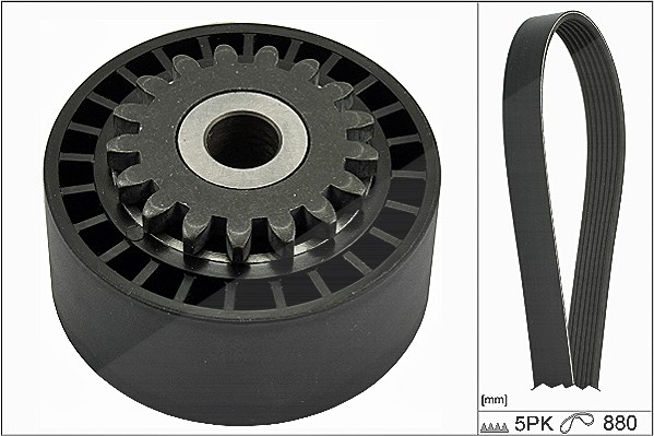 Schaeffler Ina Keilrippenriemensatz [Hersteller-Nr. 529017210] für Renault