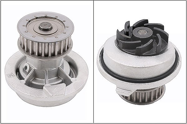 Schaeffler Ina Wasserpumpe [Hersteller-Nr. 538010810] für Holden, Vauxhall, Opel, Chevrolet