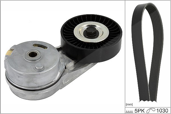Schaeffler Ina Keilrippenriemensatz [Hersteller-Nr. 529046010] für Vauxhall, Fiat, Opel, Chevrolet, Cadillac, Saab