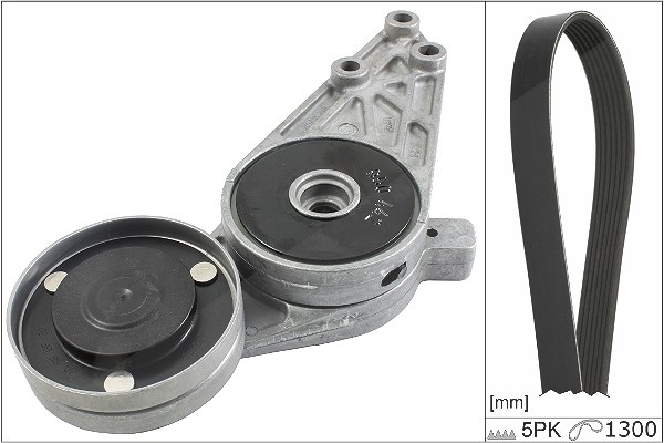Schaeffler Ina Keilrippenriemensatz [Hersteller-Nr. 529009610] für Audi, Skoda, VW