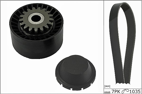 Schaeffler Ina Keilrippenriemensatz [Hersteller-Nr. 529001610] für Renault
